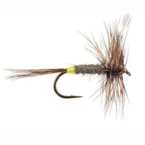 ADAMS FEMALE(PRICE PER DOZEN)