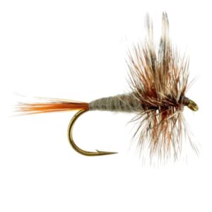 ADAMS(PRICE PER DOZEN)