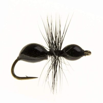 BLACK EPOXY ANT(PRIE PER DOZEN)