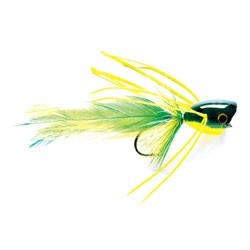 Popper chat yelllow (Price Per dozen)