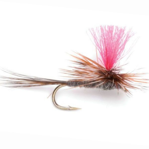 Adams Hi Viz(Price per dozen)