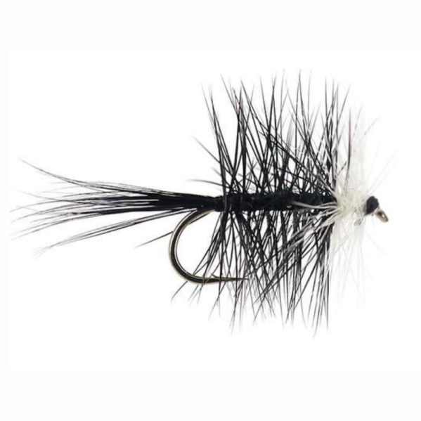 Black Bivisible(Price per dozen)