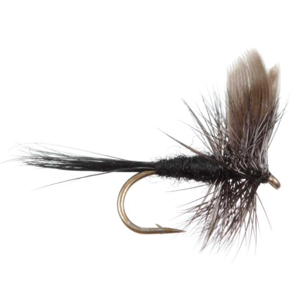 Black Gnat(Price per dozen)