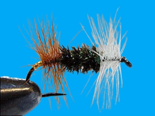 Renegade (price per dozen)